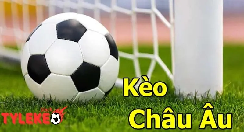 Tỷ lệ kèo | Tylekeo Kèo châu Âu: Dễ Dàng nhưng hấp dẫn