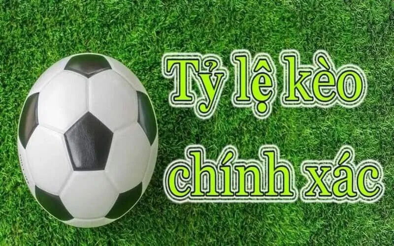 Soi Kèo Tottenham Vs Brighton